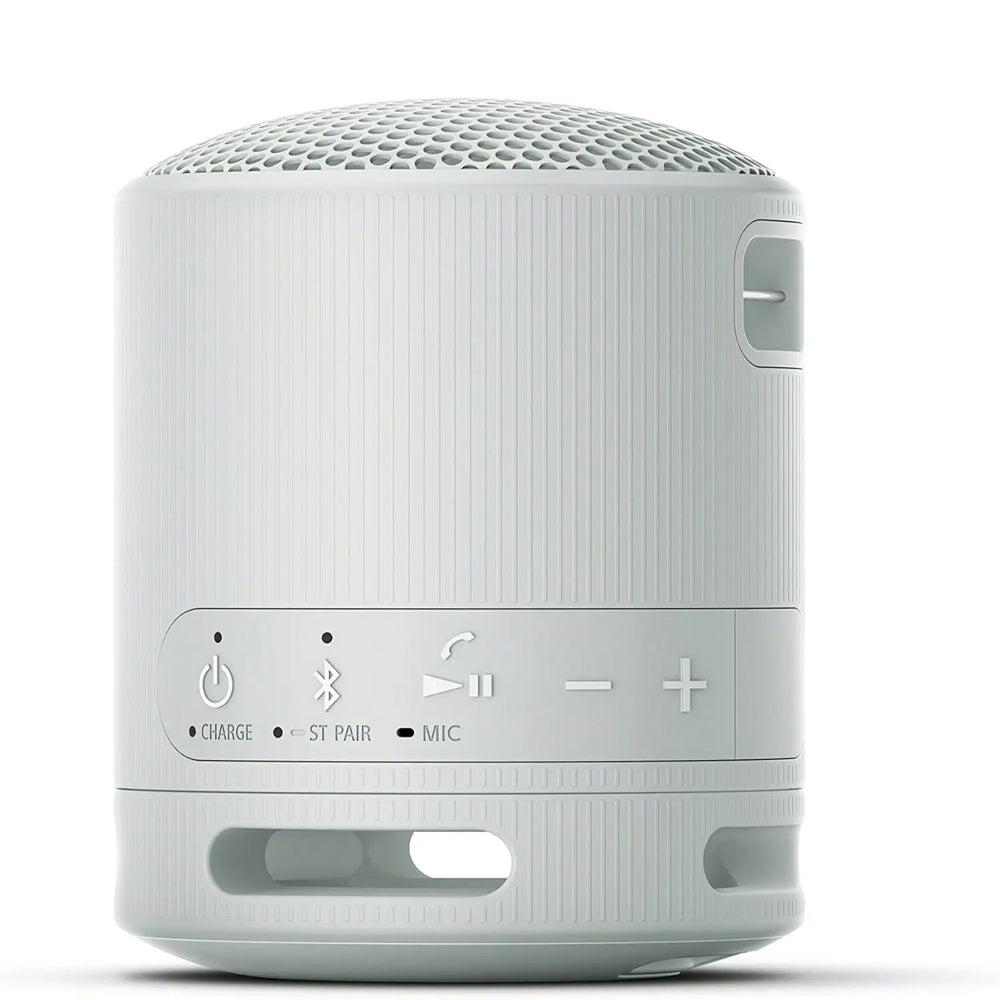 SRS-XB100 Wireless Portable Speaker