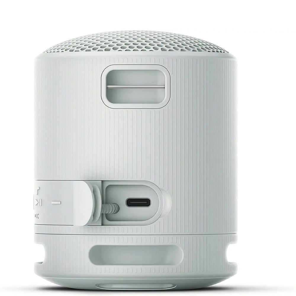 SRS-XB100 Wireless Portable Speaker