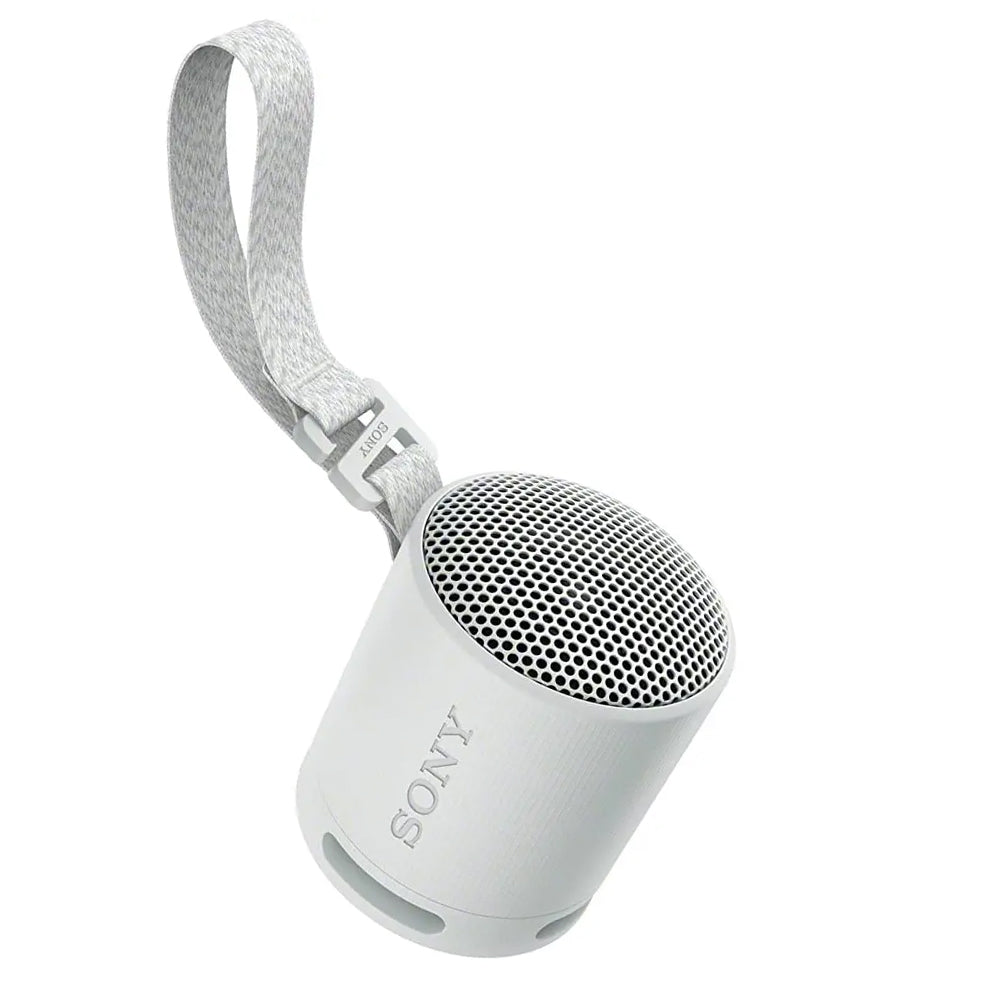 SRS-XB100 Wireless Portable Speaker