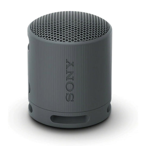 SRS-XB100 Wireless Portable Speaker