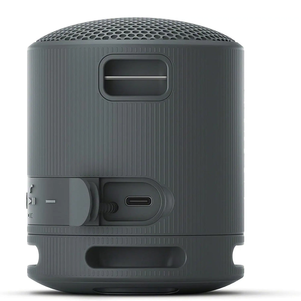 SRS-XB100 Wireless Portable Speaker
