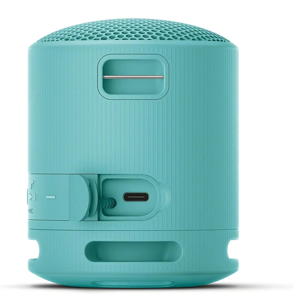 SRS-XB100 Wireless Portable Speaker