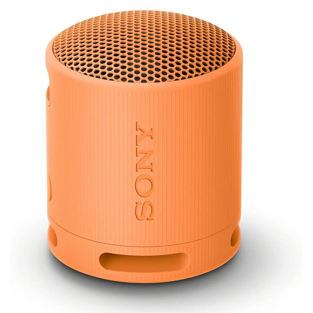SRS-XB100 Wireless Portable Speaker