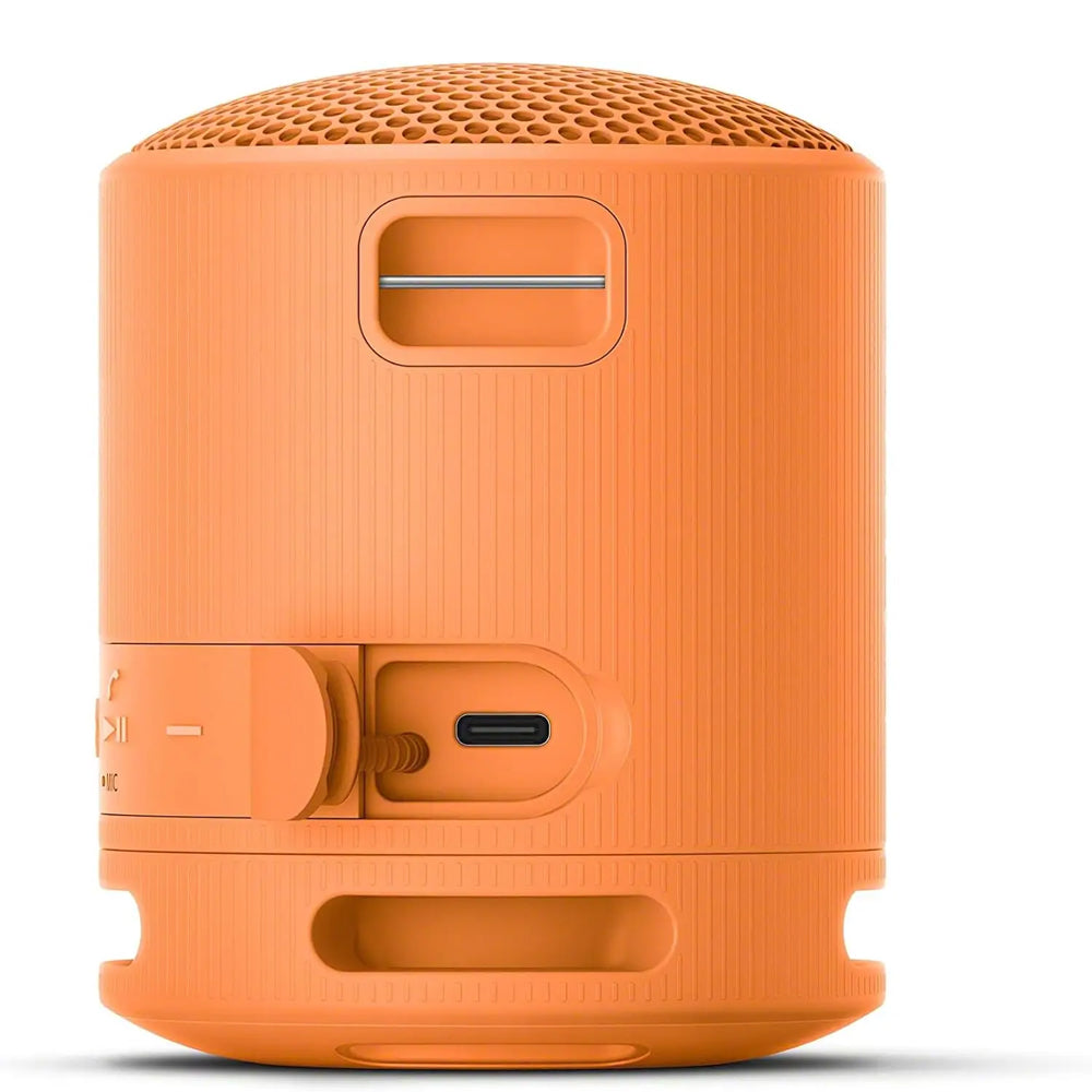 SRS-XB100 Wireless Portable Speaker