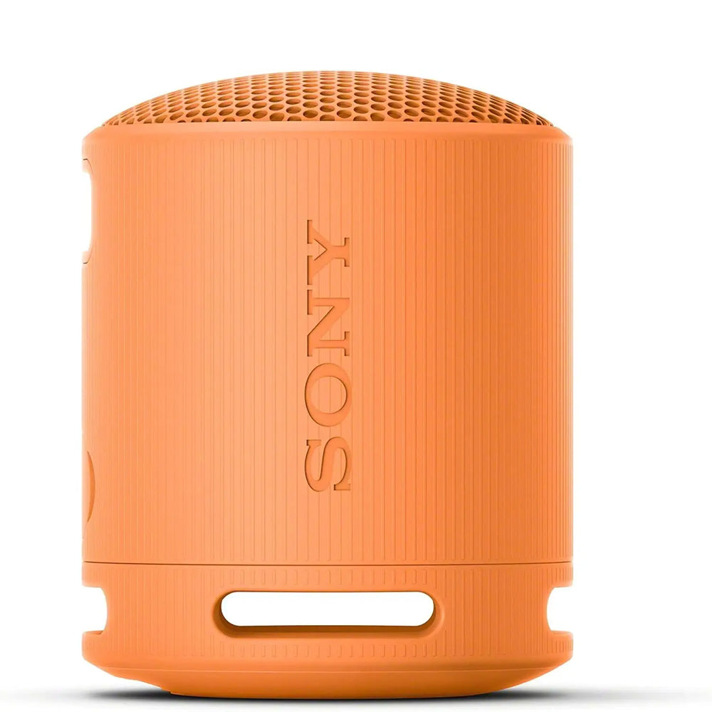 SRS-XB100 Wireless Portable Speaker