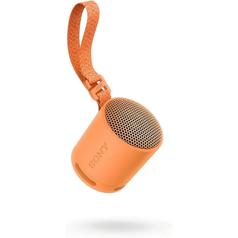 SRS-XB100 Wireless Portable Speaker