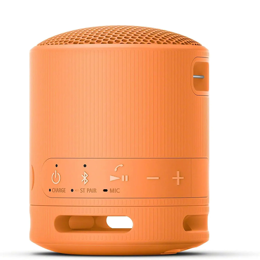SRS-XB100 Wireless Portable Speaker